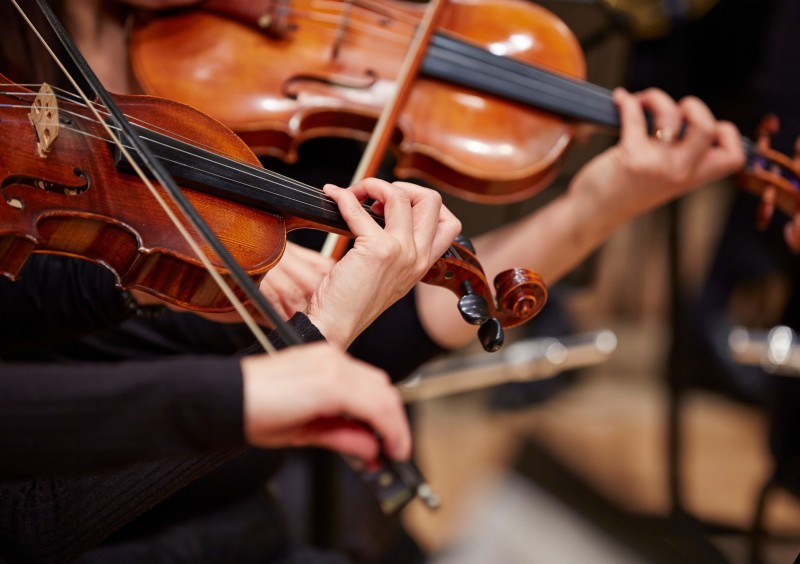 Orchestra 101: Understanding the Mechanisms of an Orchestra