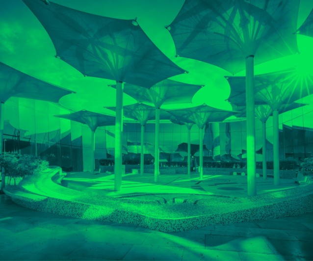 Tanween Networking Oasis
