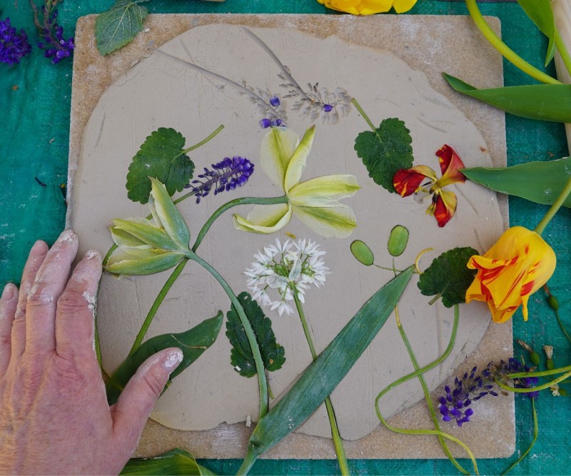 Botanical Manifestations