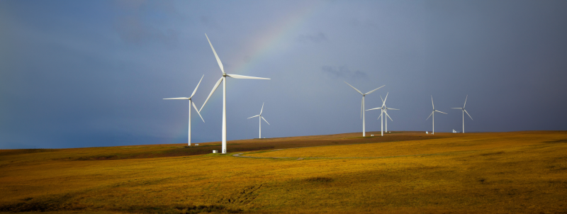 Nature Meets Technology