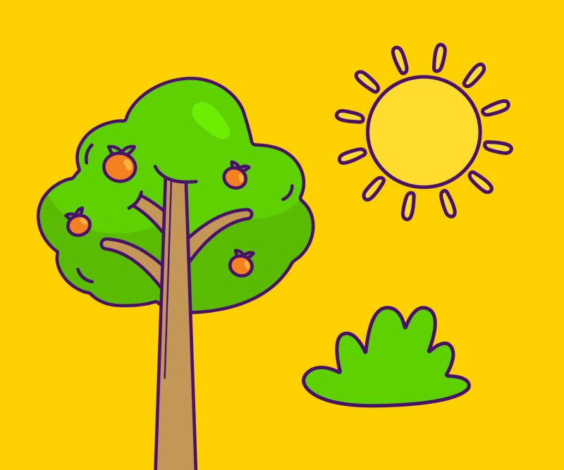 Farm to Table (English)