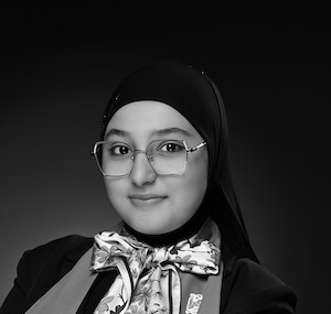 نور المصطفى