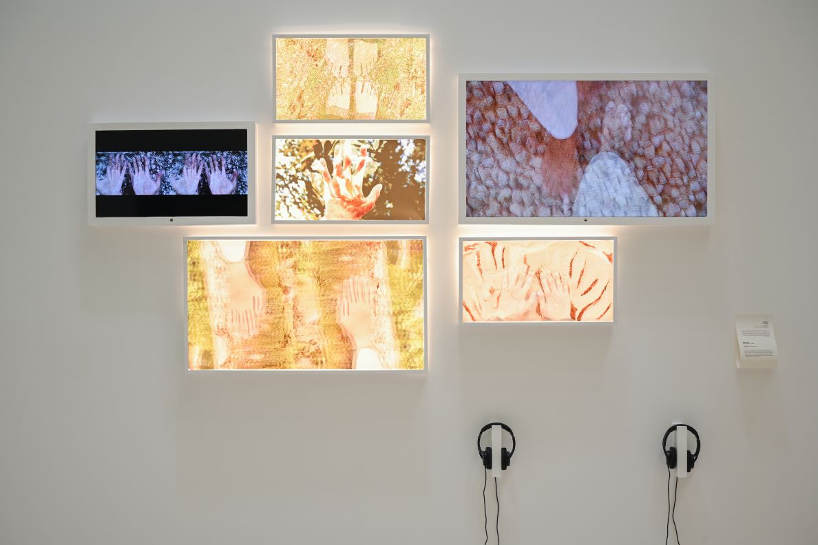 From the earth_2-7-2023_Ahmed Al-Thani_-04.jpg