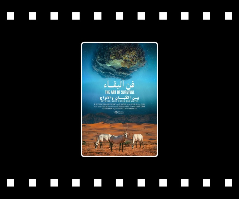 فن البقاء - بين الكثبان والامواج