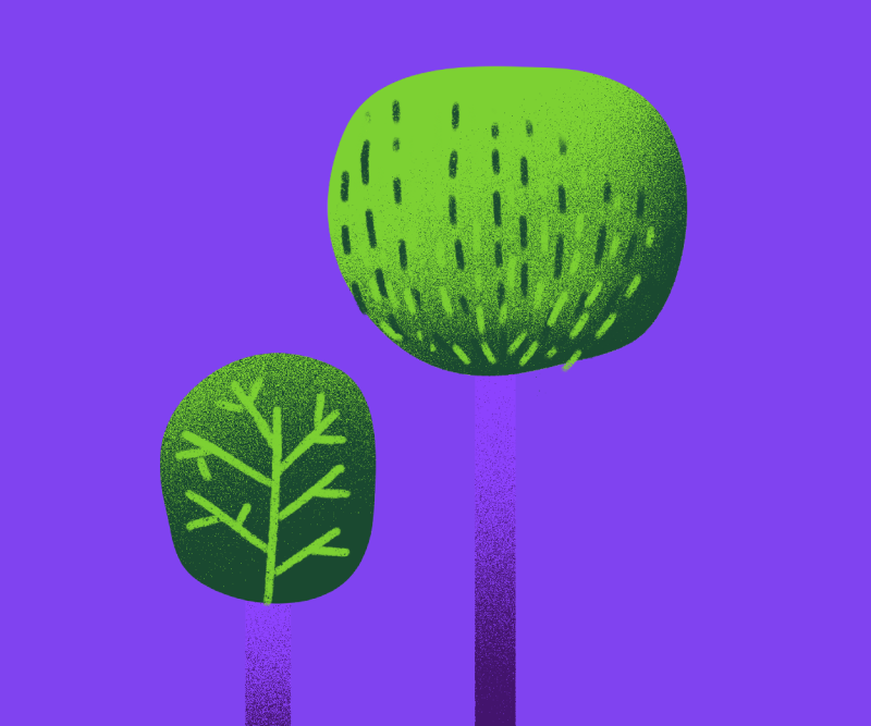 Plant Explorers (English)