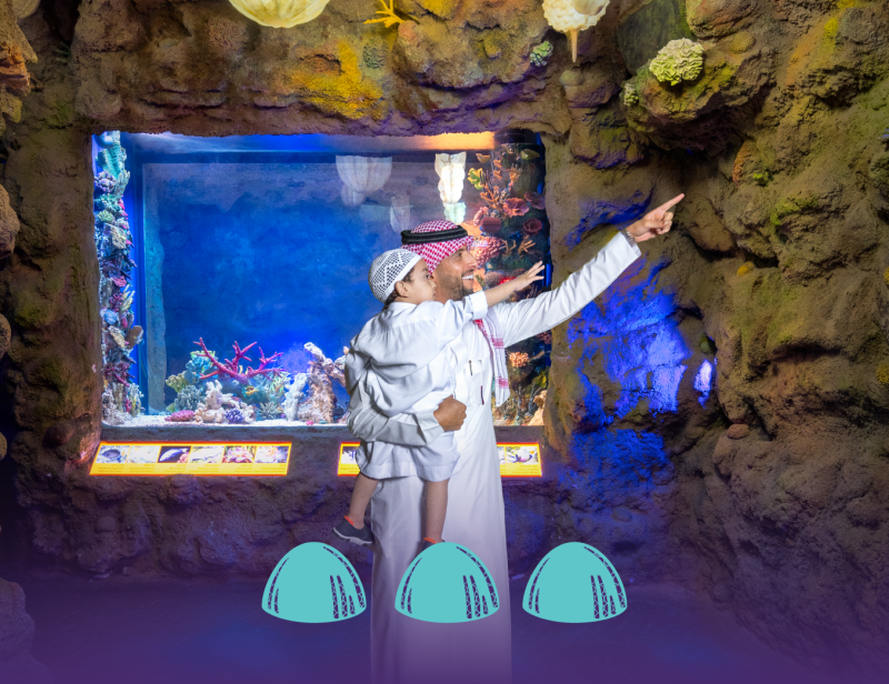 Eid in the energy Exhibit