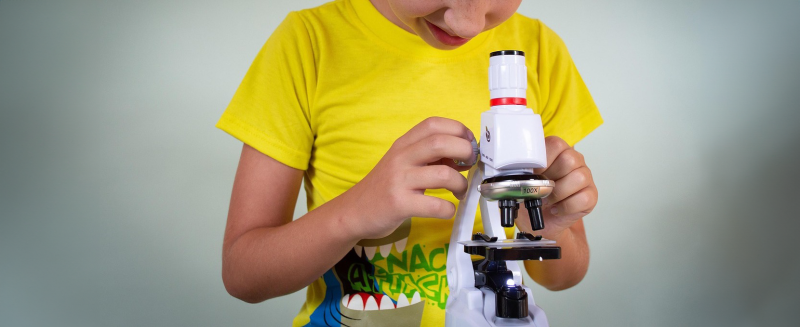 نادي خبراء ستيم