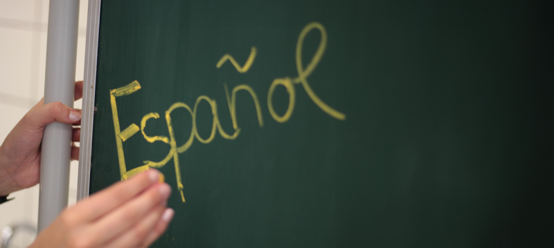 Bridges to the Spanish Language