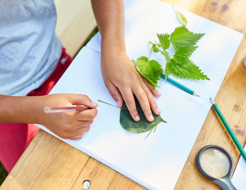 كتاب من الطبيعة