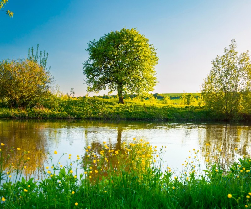 المستقبل الأخضر