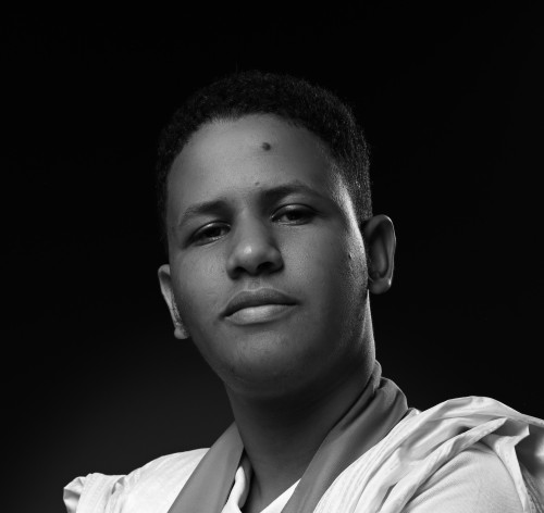 محمدو محمد الأمين الشيخ