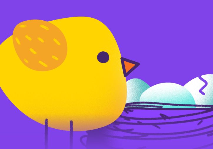 مساكن من بناء الحيوانات 
