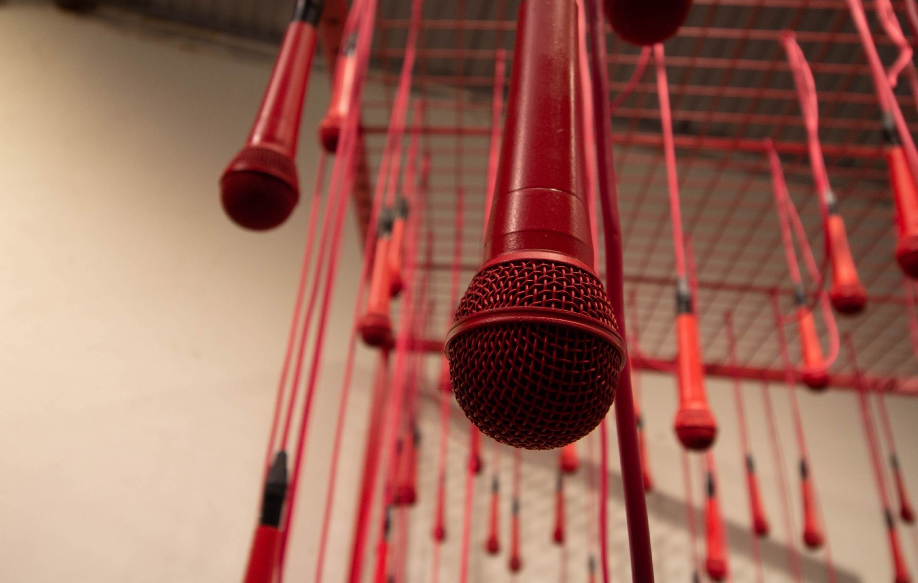 What if everyone spoke the same language?