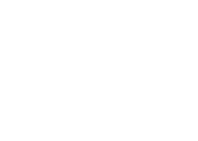 Audiom-1.png