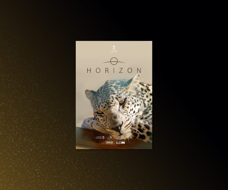 عروض الأفلام 30