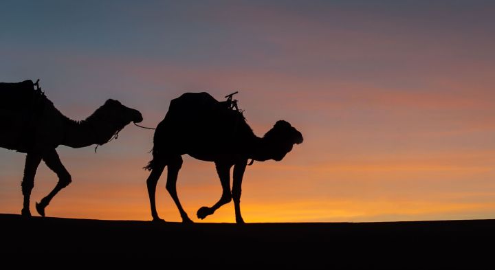 الهجرة النبويّة الشريفة