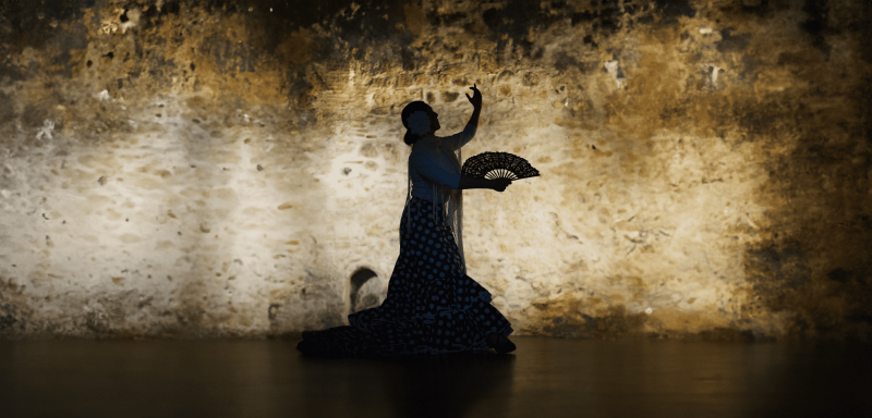 فن إيقاع وحركة الفلامنكو