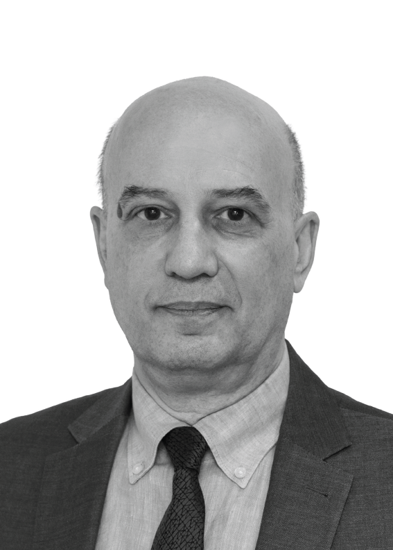 ستيفانو كاربوني