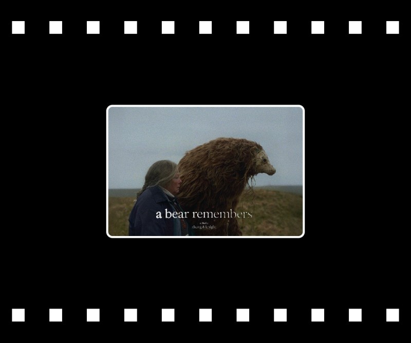 A Bear Remembers