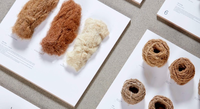 Date Palm Papermaking