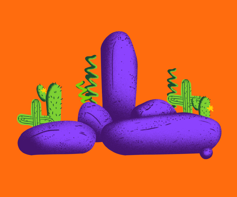 Designs from Nature (English)