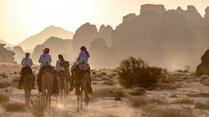 Ithra Celebrates the UN’s International Year of Camelids