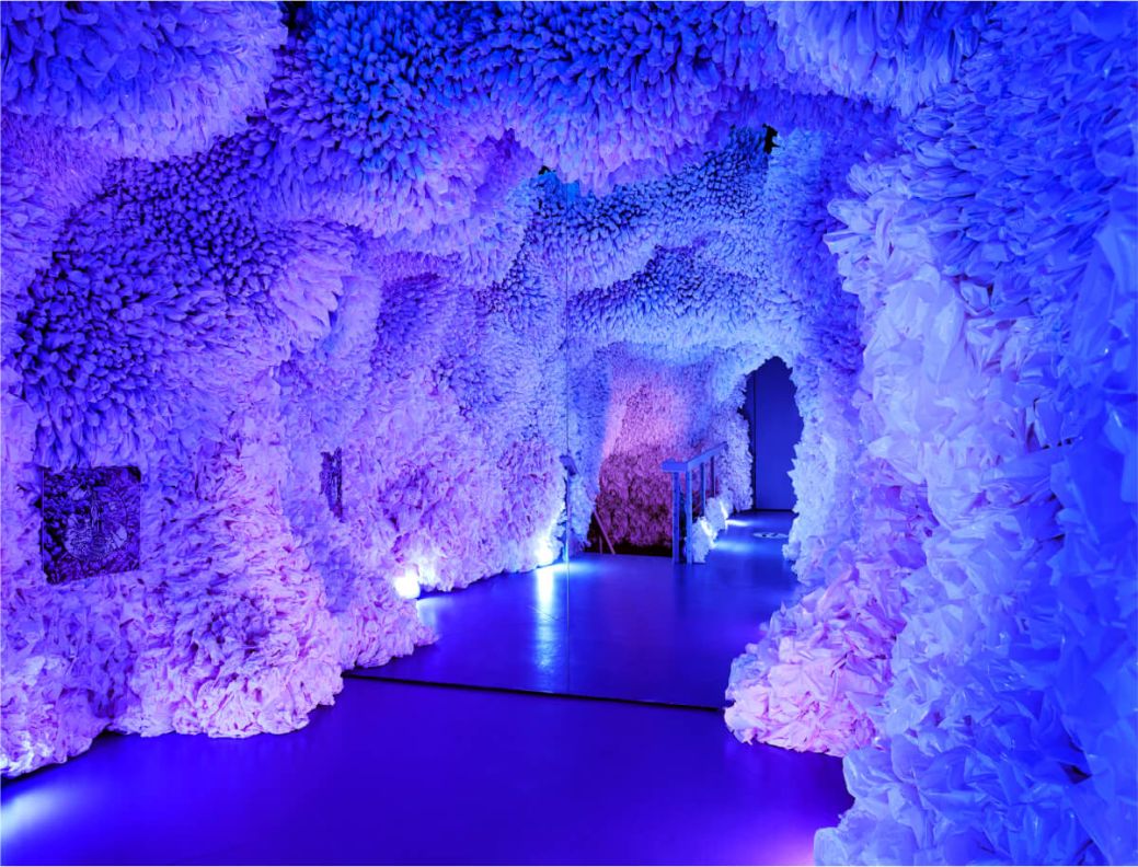 Plastic_Cave-7_updated 1.jpg