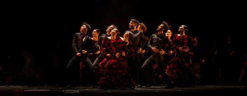 Filigrana Flamenco Show