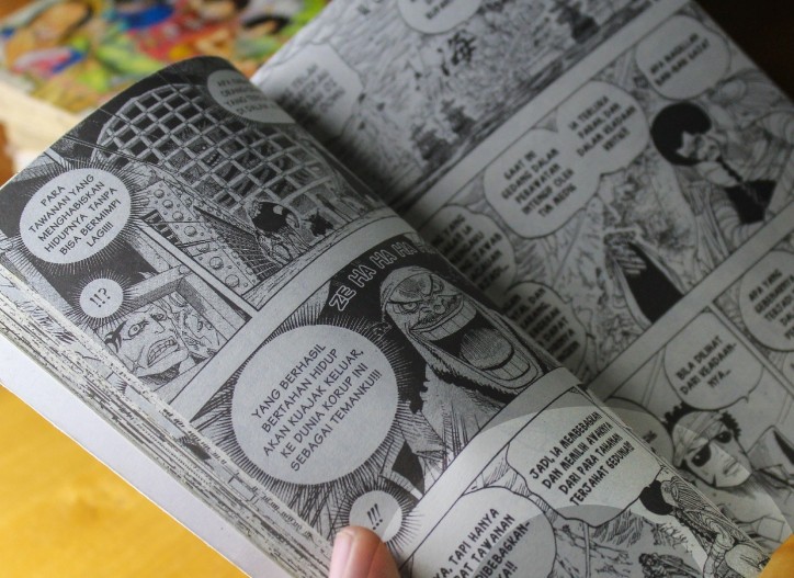 Manga and Comic Books
