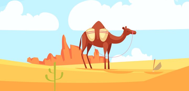 Why Did God Create Camel Humps?