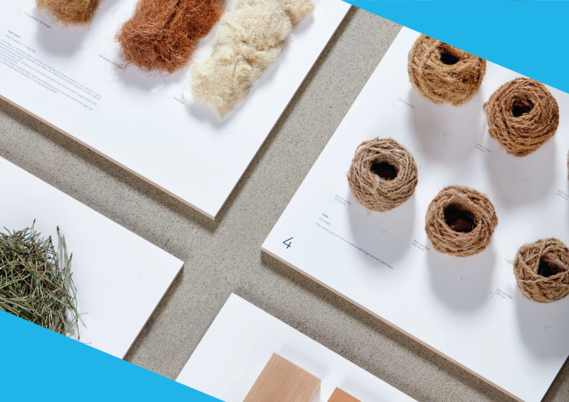 Material Potential with the Date Palm