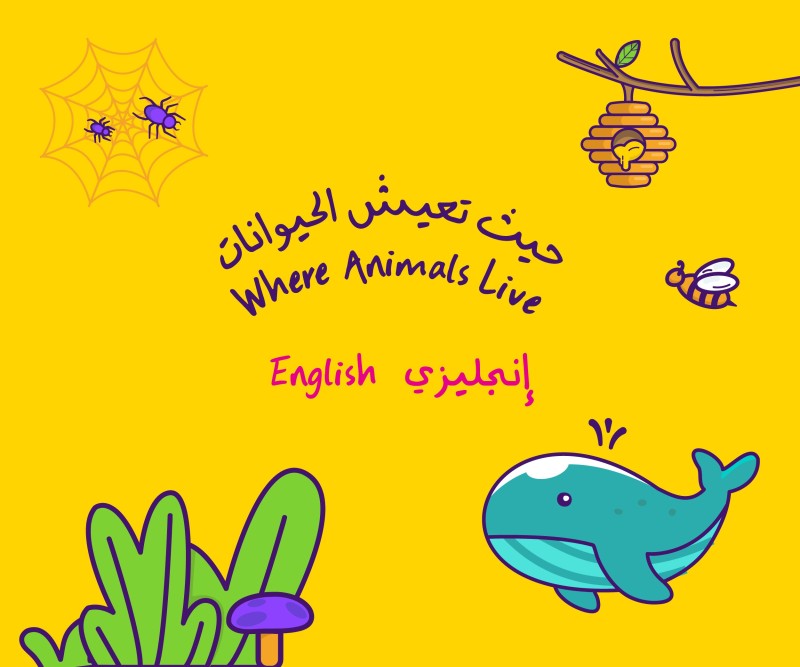 Where Animals Live (English)