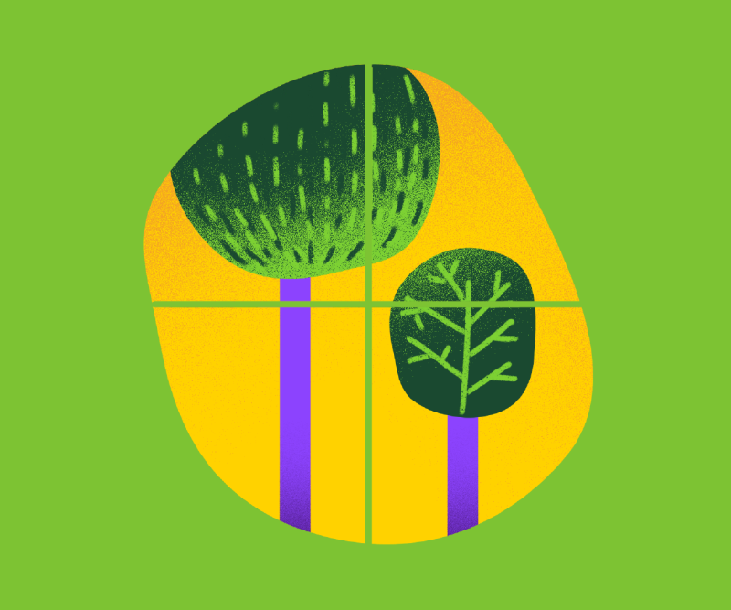 Green Architecture (English)