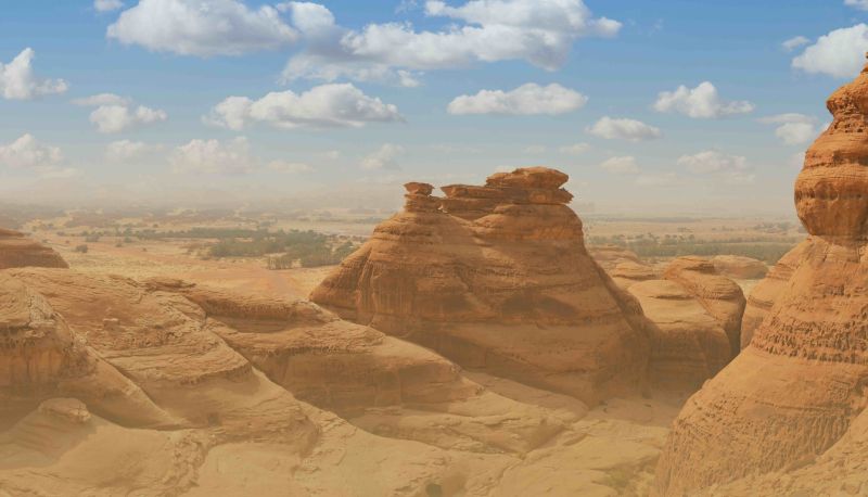 “From Earth”: A program with exhibition artists