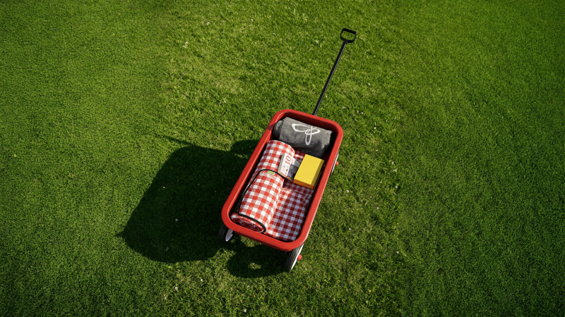 Winter, Friends and The Red Wagon