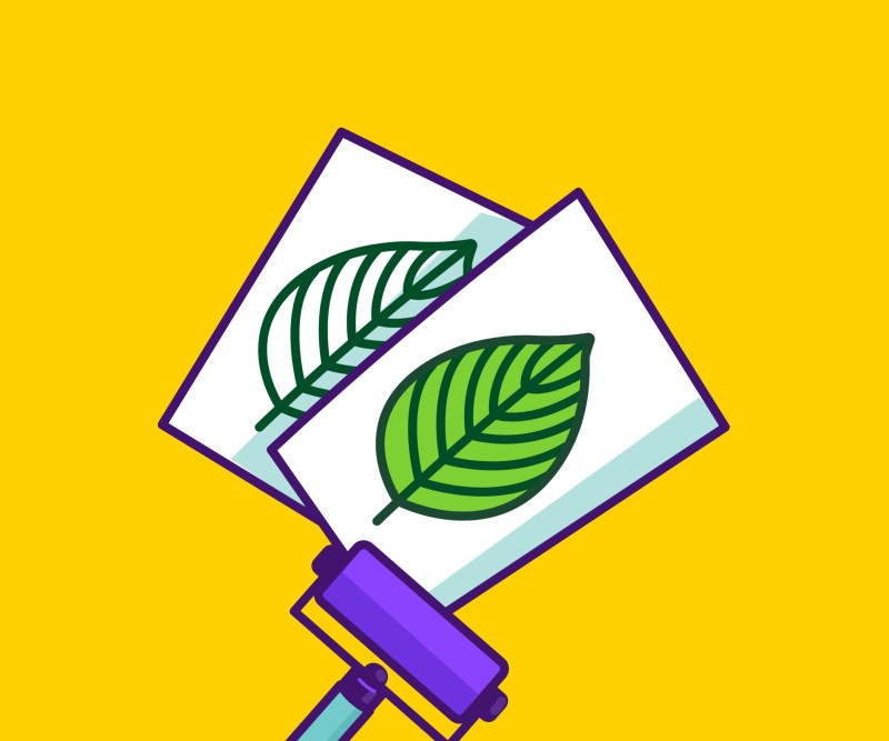 Eco Crafts (English)