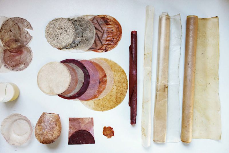 Sustainable Packaging Design