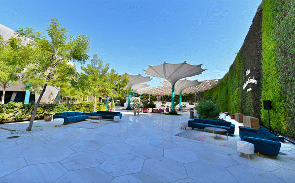 pattie winter garden